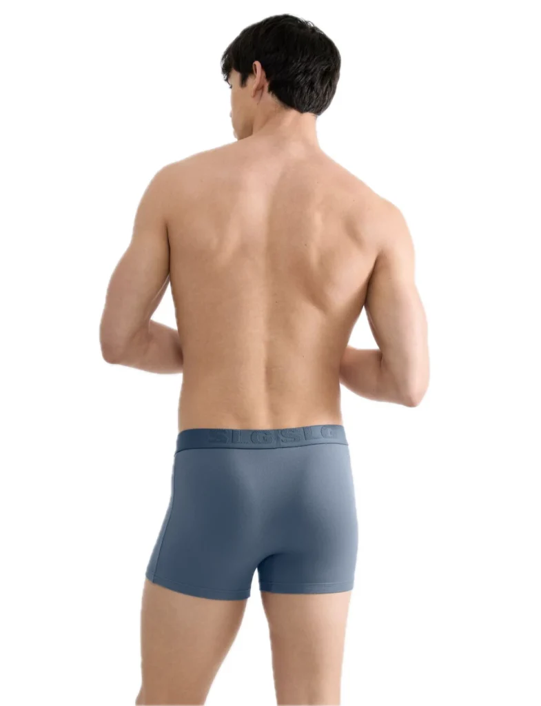 Sloggi Sloggi Men Base Soft Trunk C2P Boxer 2 τεμαχίων 10226681-Μπλέ Ράφ/Blue Raf